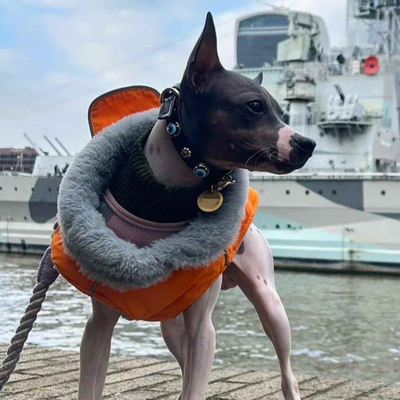 Evil Eye Dog Collar Black 🧿 - PAW LONDON
