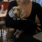 Evil Eye Dog Collar Black 🧿 - PAW LONDON