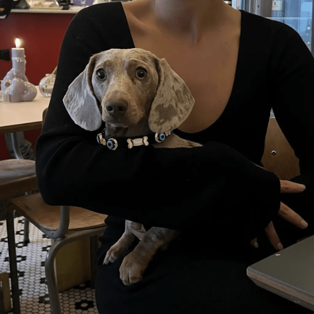 Evil Eye Dog Collar Black 🧿 - PAW LONDON