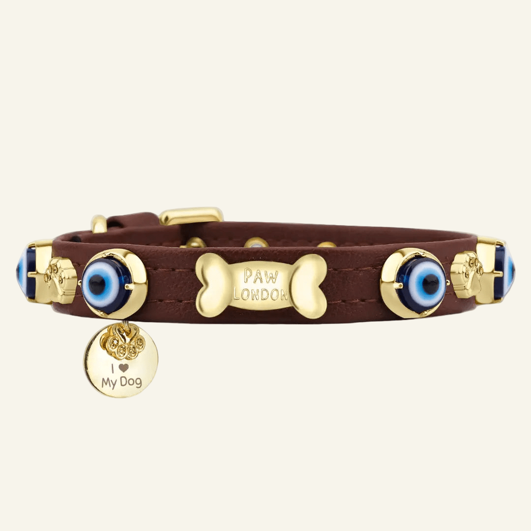 Evil Eye Dog Collar Chocolate 🧿 - PAW LONDON