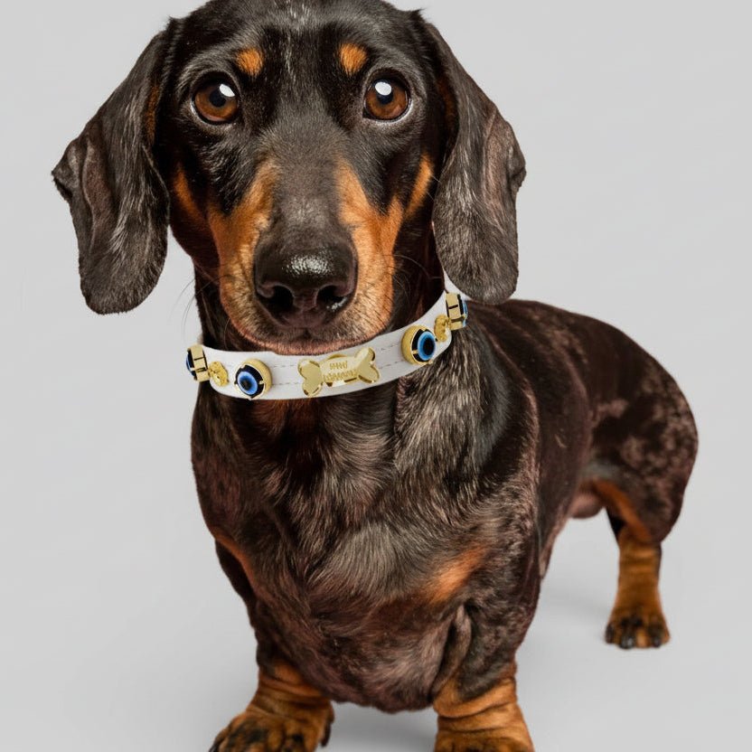 Evil Eye Dog Collar White 🧿 - PAW LONDON