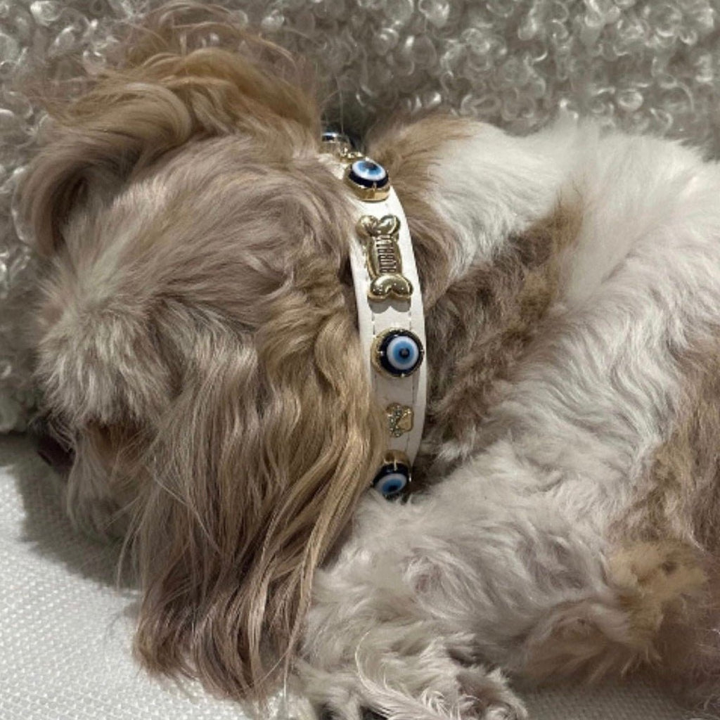 Evil Eye Dog Collar White 🧿 - PAW LONDON