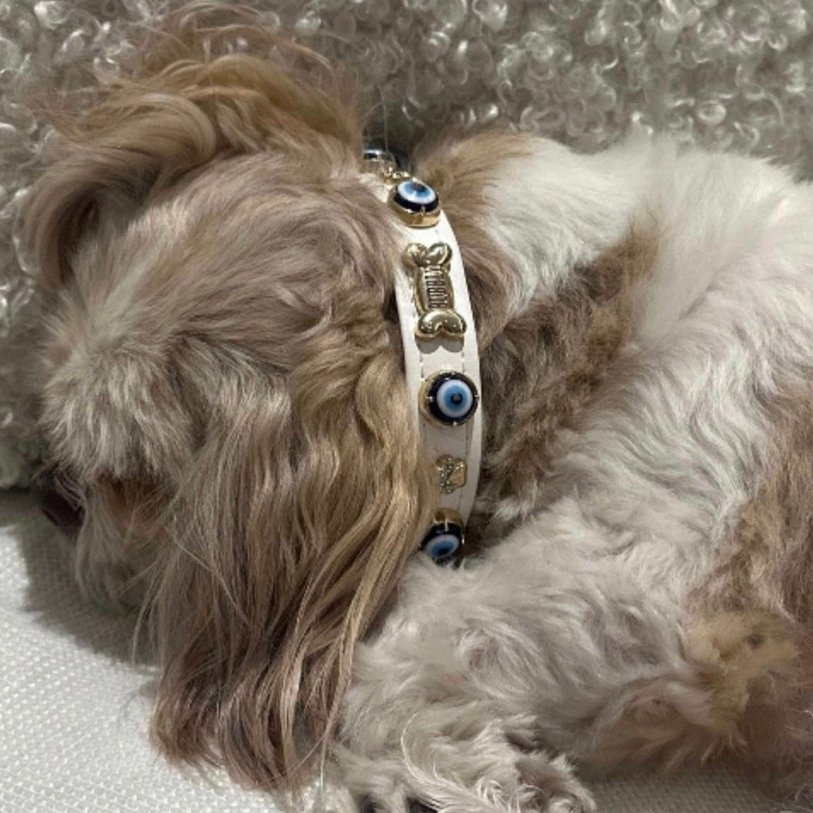 Evil Eye Dog Collar White 🧿 - PAW LONDON