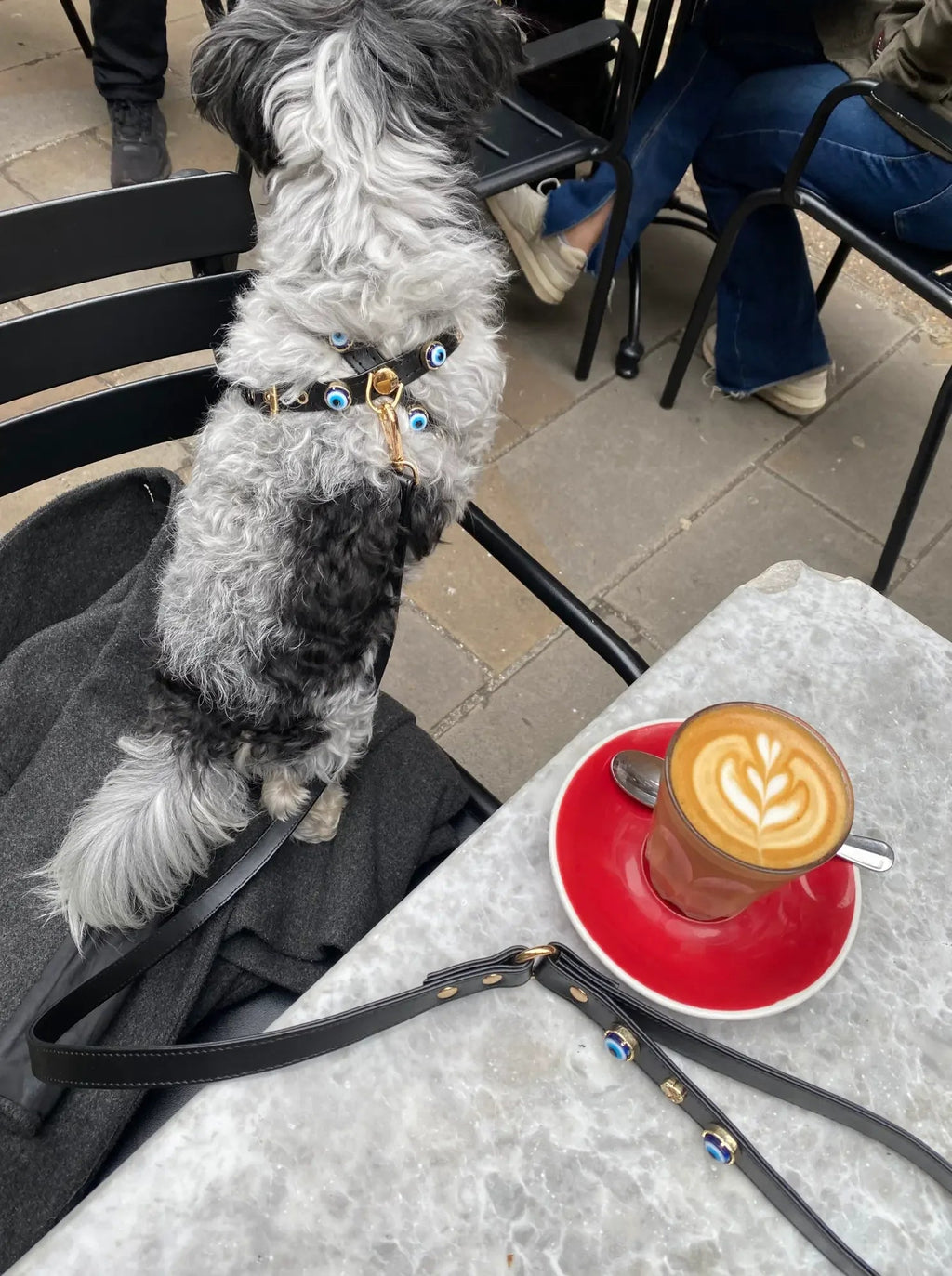 Evil Eye Dog Harness | Black 🧿. - PAW LONDON