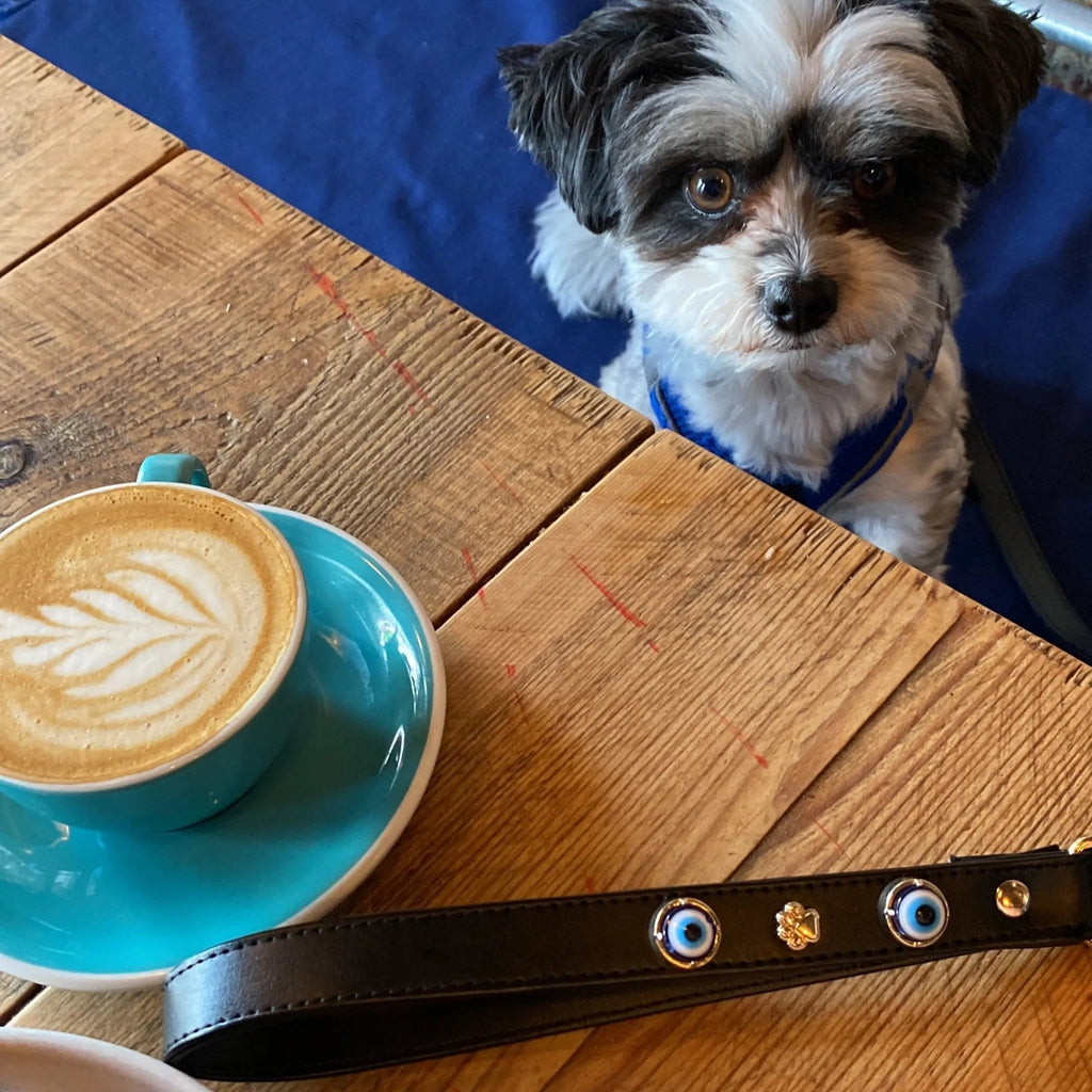 Evil Eye Dog Lead | Black 🧿 - PAW LONDON