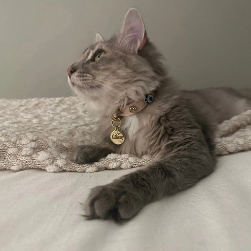 Evil Eye Pet Collar Baby Pink All Over - PAW LONDON