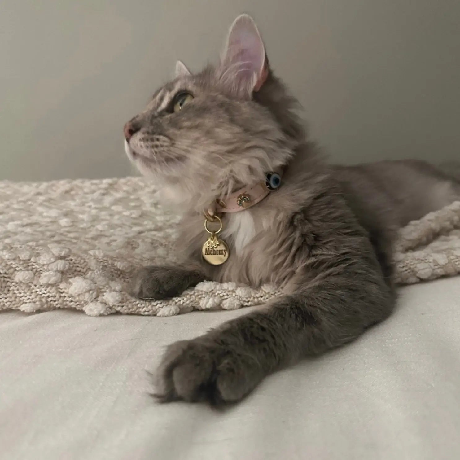 Evil Eye Pet Collar Baby Pink All Over - PAW LONDON