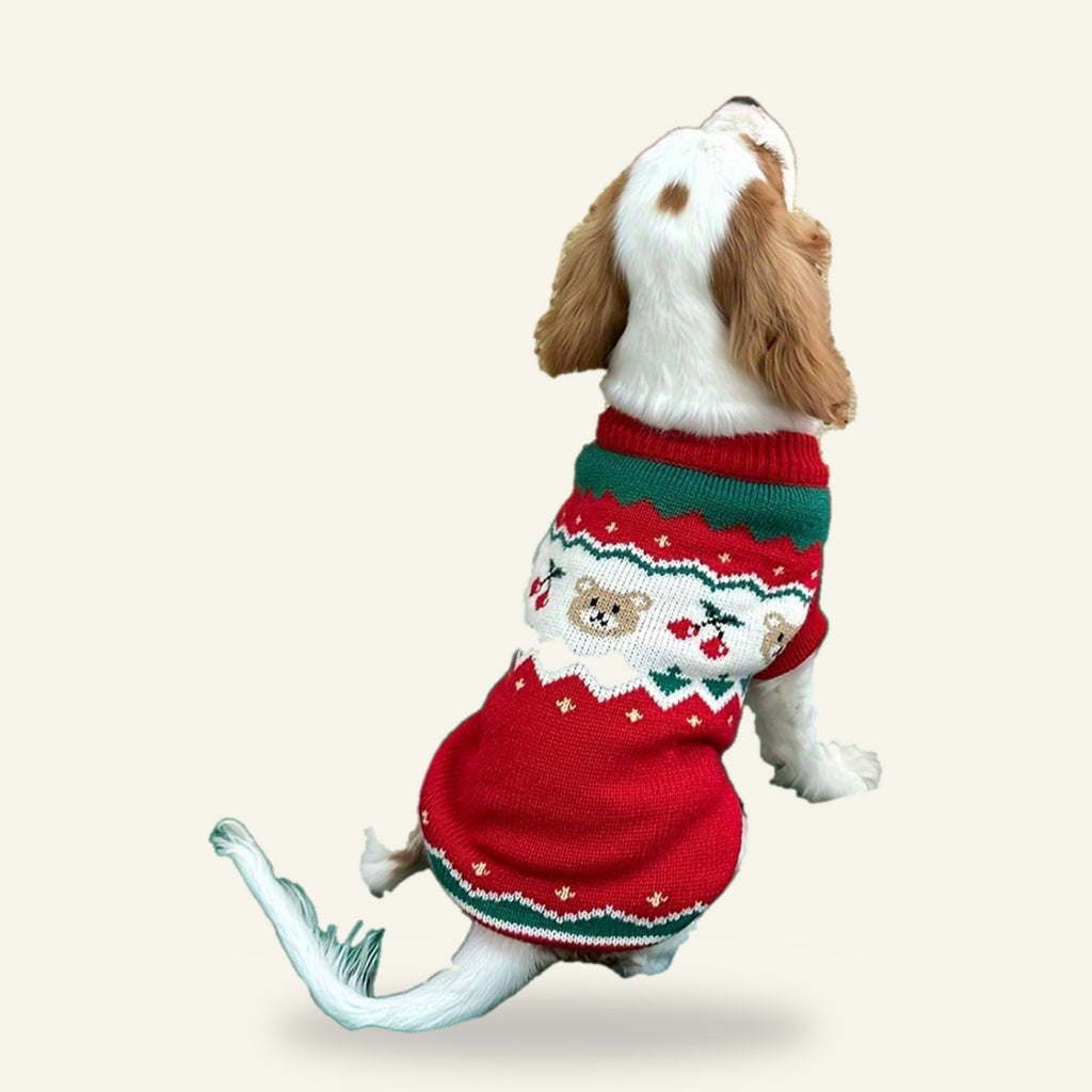 Dog wearing the Fair Isle bear jumper, back view