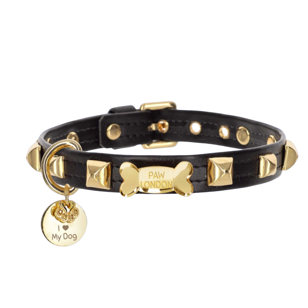 Pawlentino Rockstud Dog Collar | Gold on Black 🪨 PAW LONDON