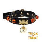 Halloween Slutty Pumpkin Dog Collar 🎃 - PAW LONDON
