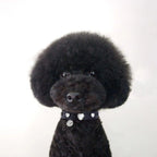 Heart Swarovski Black Dog Collar 🖤 - PAW LONDON