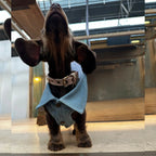 Howdy Slogan Jean Dog Jackets with Pink Embroidery 🤠 - PAW LONDON