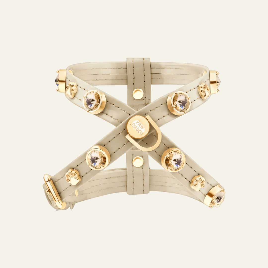 Kate Swarovski Dog Harness 💎 - PAW LONDON