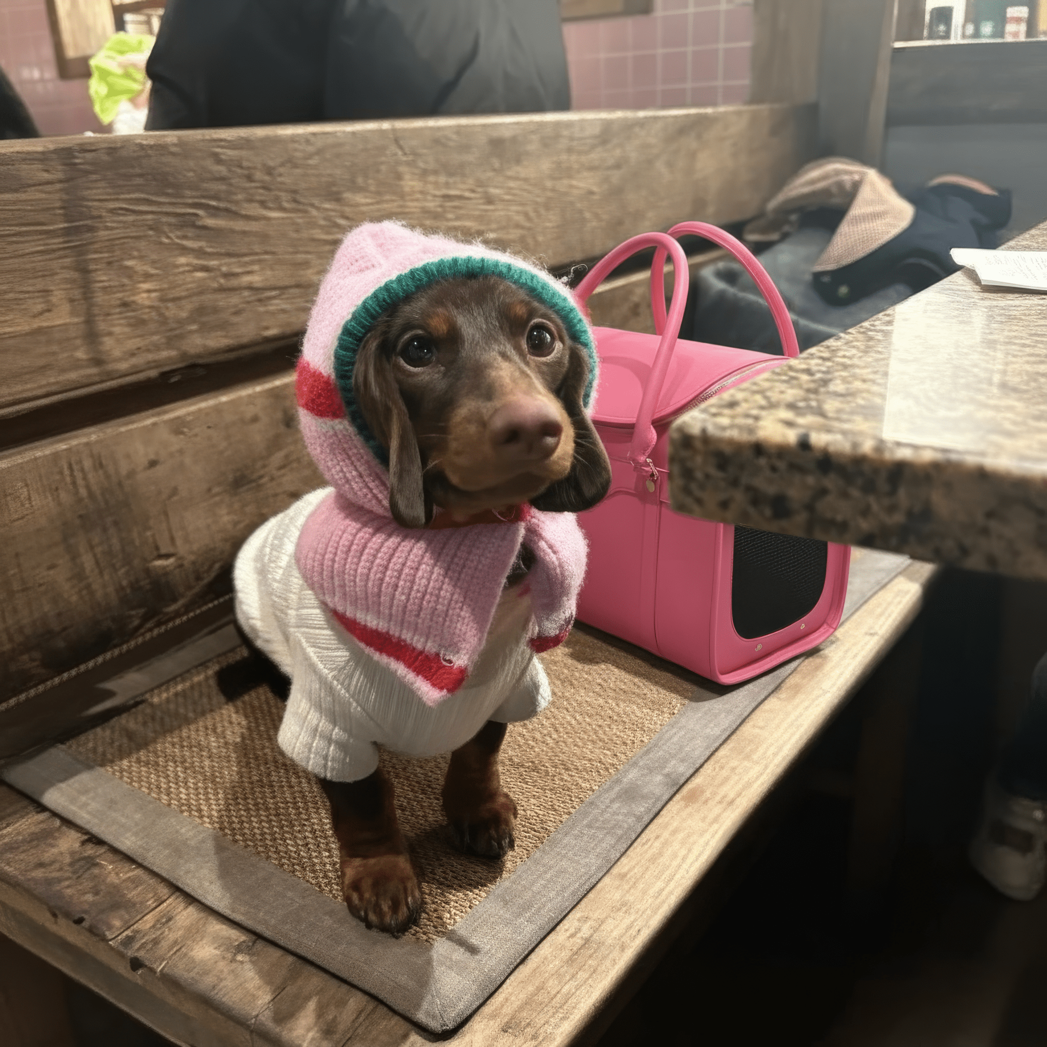 Kelly Airline Approved Pet Travel Carrier Bag | PEONY - PAW LONDON