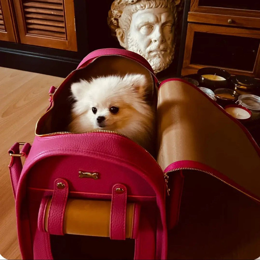 Kelly Airline Approved Pet Travel Carrier Bag | PEONY - PAW LONDON