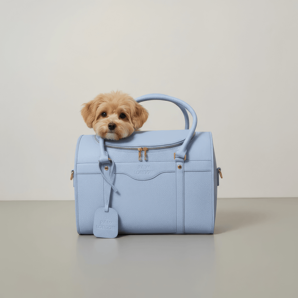 Kelly Airline Approved Pet Travel Carrier Bag | SKY BLUE 🚀 - PAW LONDON