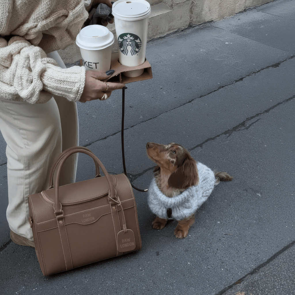 Kelly Airline Approved Pet Travel Carrier Bag | SMOKE - PAW LONDON