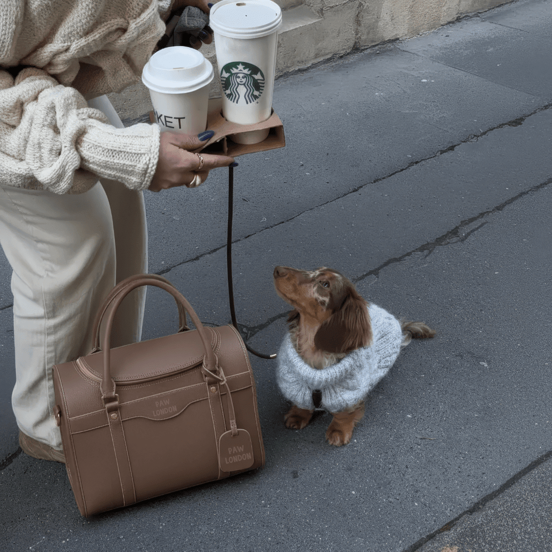Kelly Airline Approved Pet Travel Carrier Bag | SMOKE - PAW LONDON