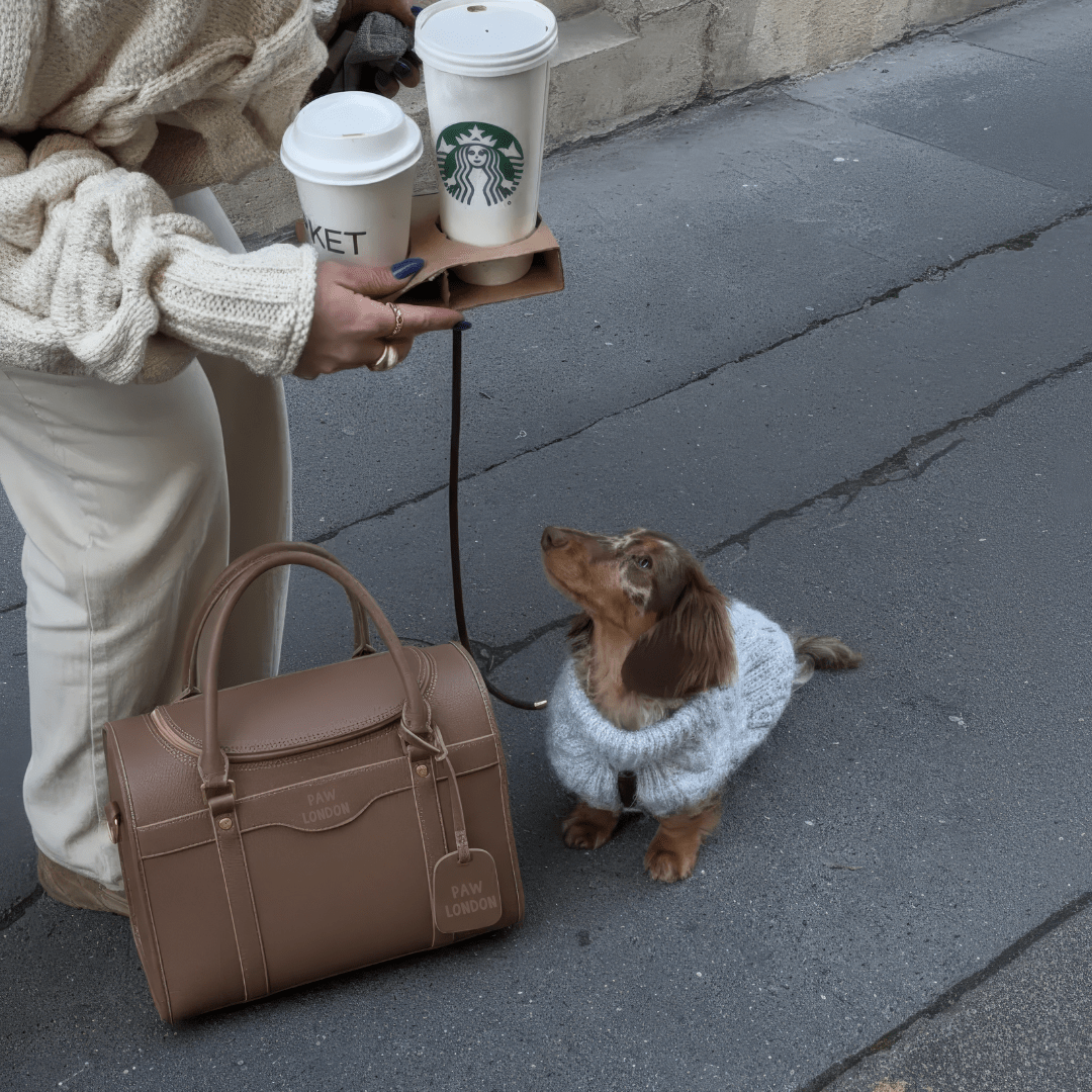 Kelly Airline Approved Pet Travel Carrier Bag | SMOKE 🚀 - PAW LONDON