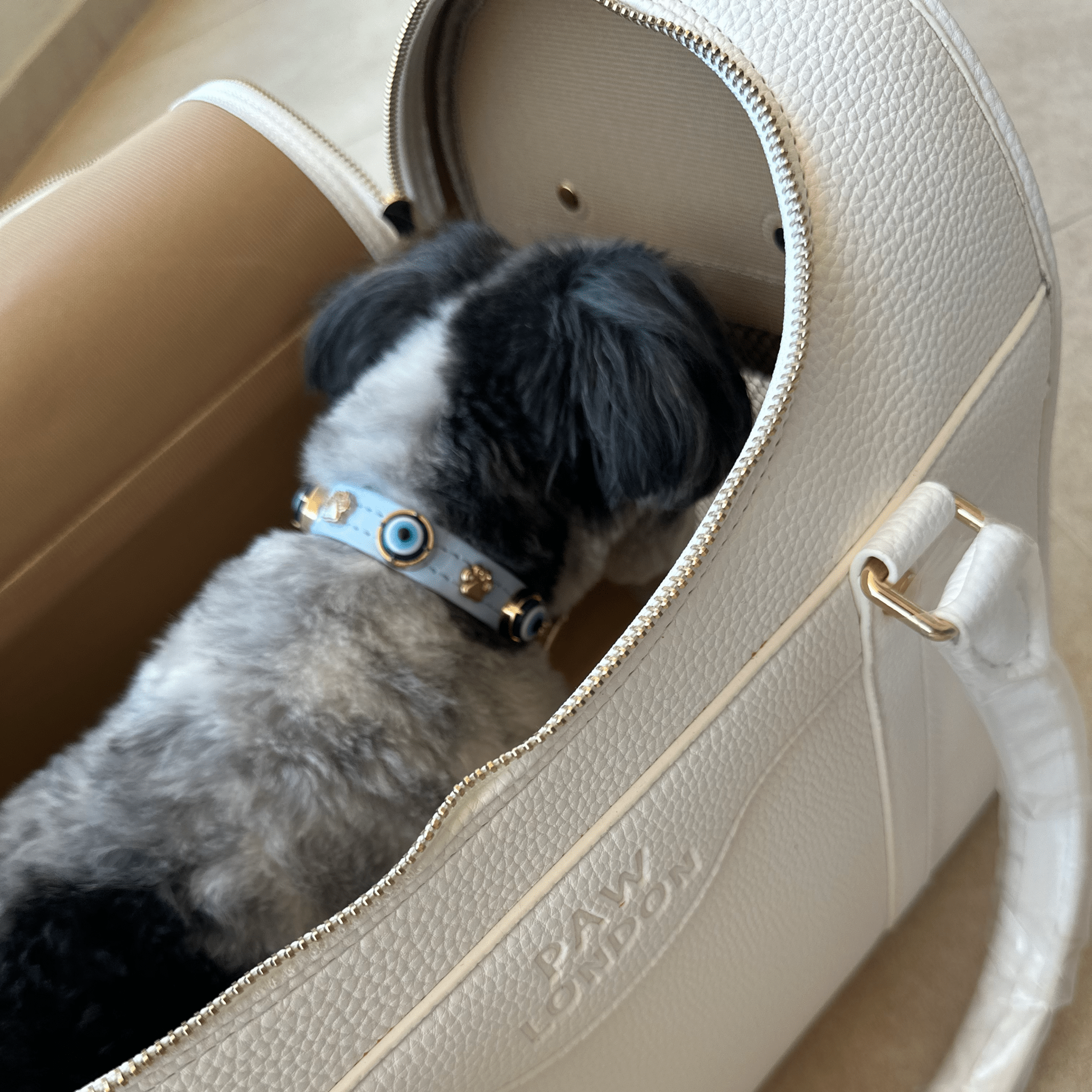 Kelly Airline Approved Pet Travel Carrier Bag | WHITE 🚀 - PAW LONDON