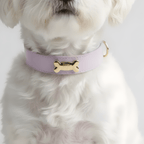 Lavender Dog Collar - PAW LONDON