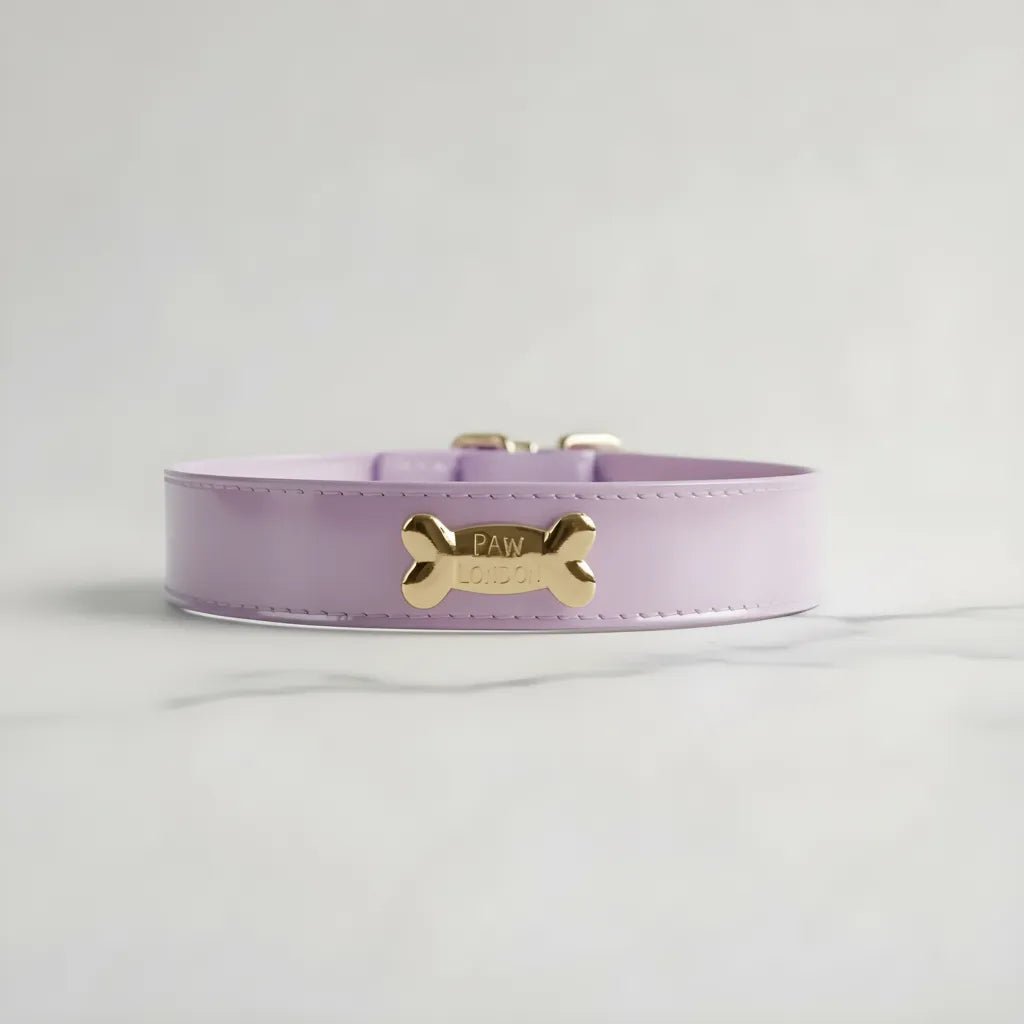 Lavender Dog Collar - PAW LONDON