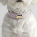 Lavender Dog Collar - PAW LONDON