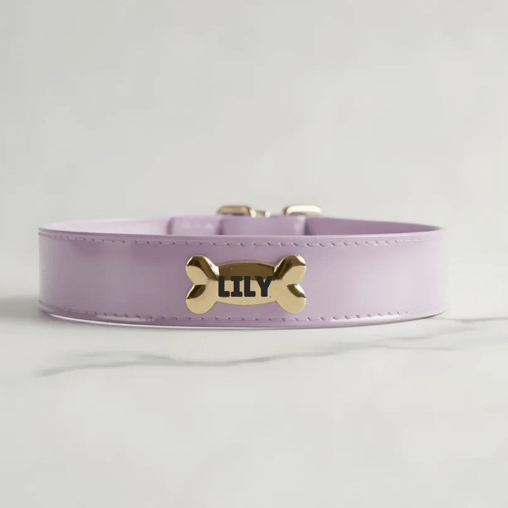 Lavender Dog Collar - PAW LONDON
