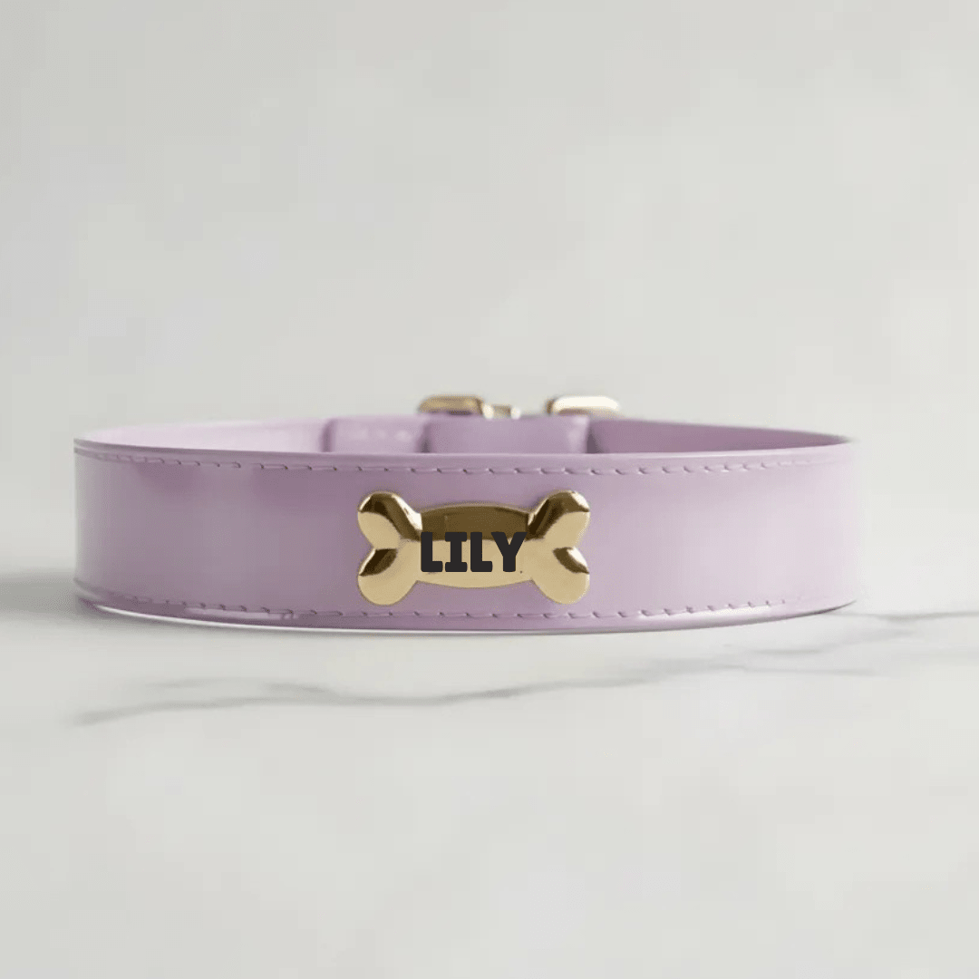 Lavender Dog Collar - PAW LONDON