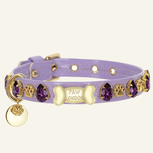 Lily Purple Swarovski Dog Collar 💎 - PAW LONDON