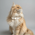 Lily Swarovski® Glossy Cat Collar - PAW LONDON