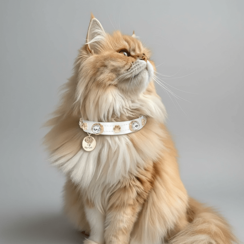 Lily Swarovski® Glossy Cat Collar - PAW LONDON
