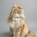 Lily Swarovski Glossy Cat Collar - PAW LONDON