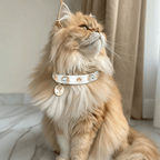 Lily Swarovski Glossy Cat Collar - PAW LONDON