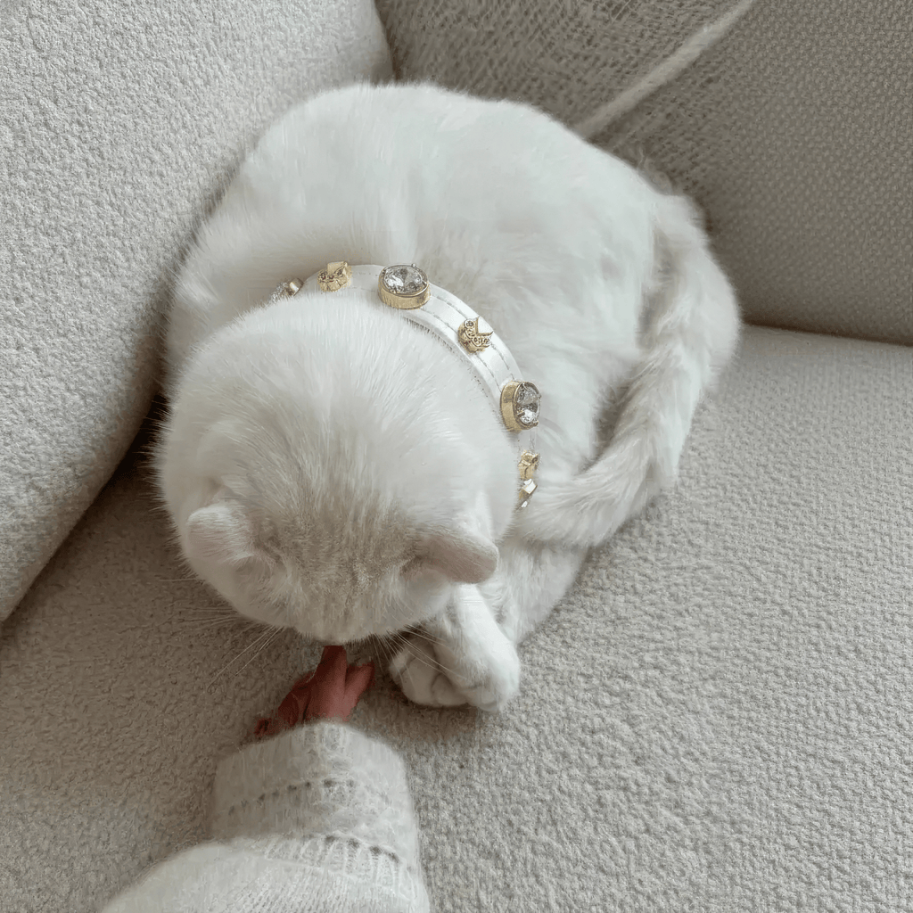 Lily Swarovski Glossy Cat Collar - PAW LONDON