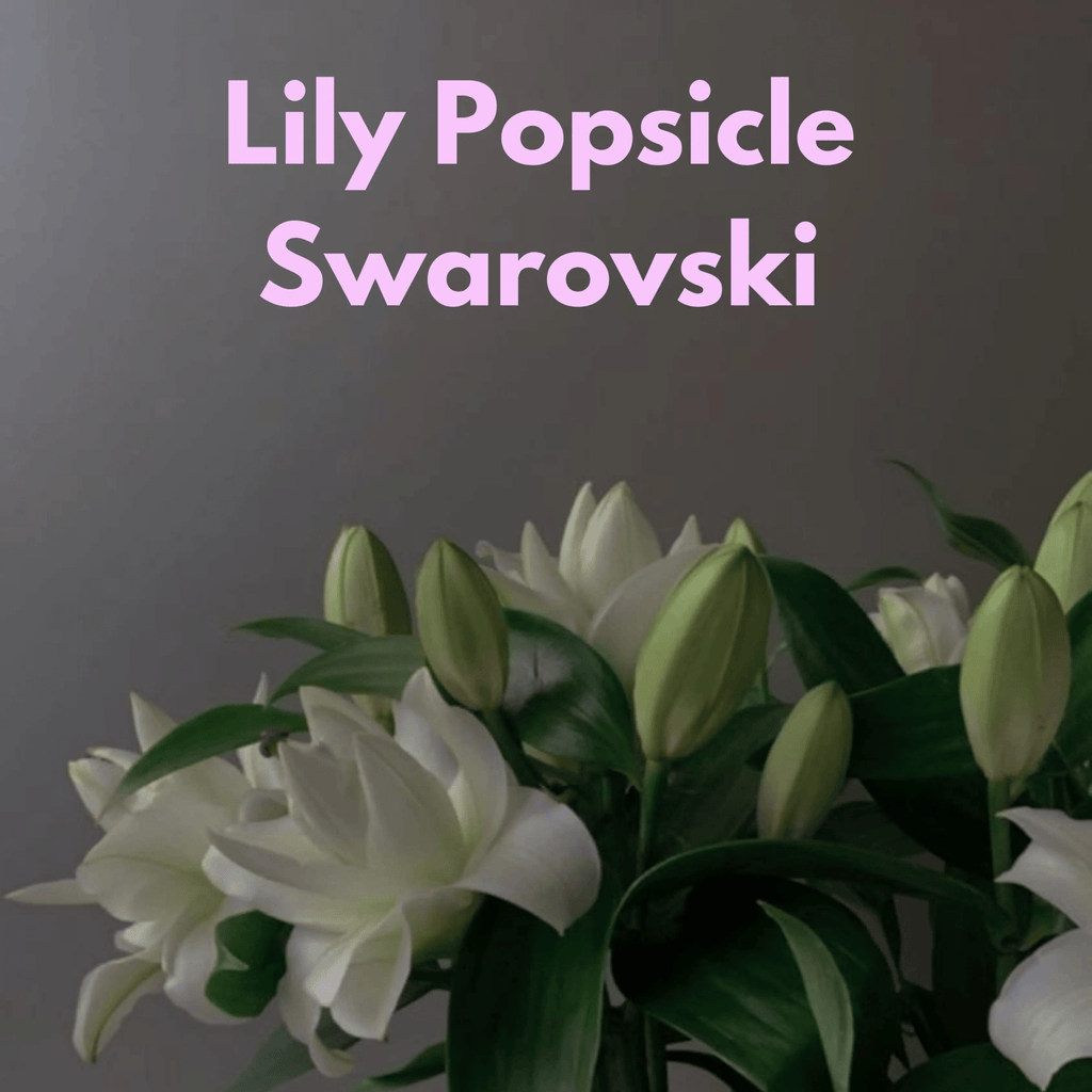 Lily Swarovski Glossy White Dog Collar 💎 - PAW LONDON