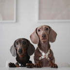 Lily Swarovski Glossy White Dog Harness 💎 - PAW LONDON