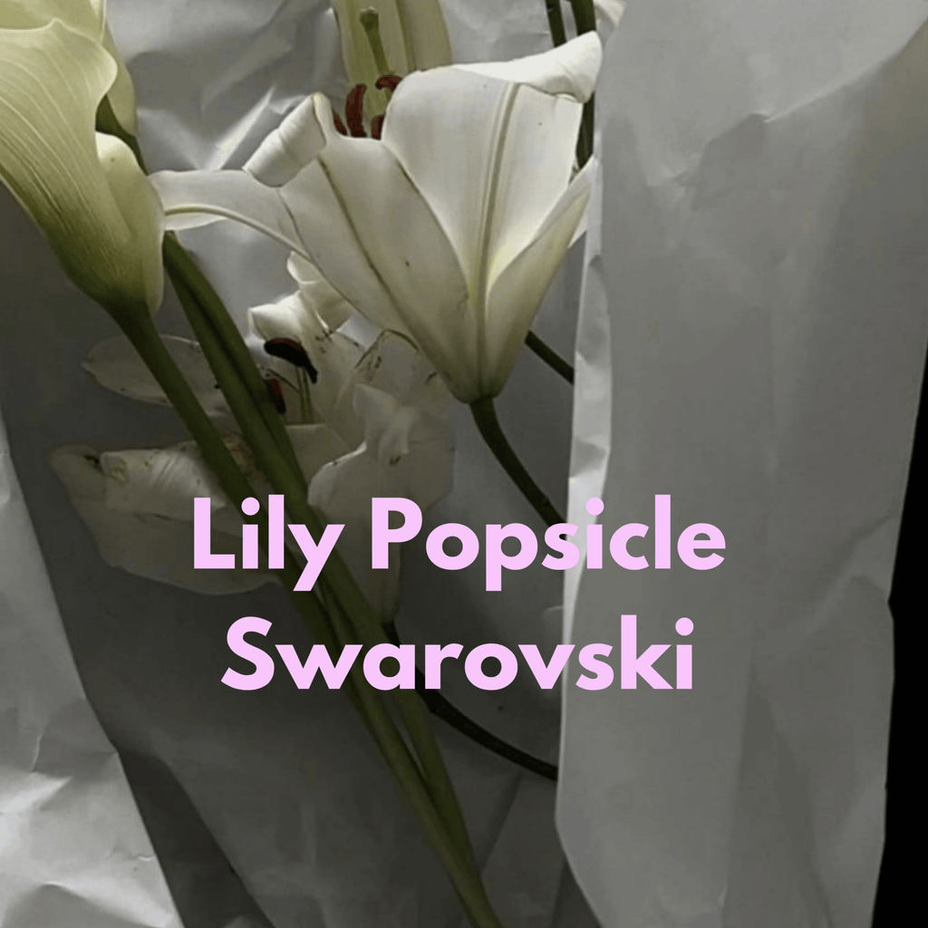 Lily Swarovski Glossy White Dog Harness 💎 - PAW LONDON
