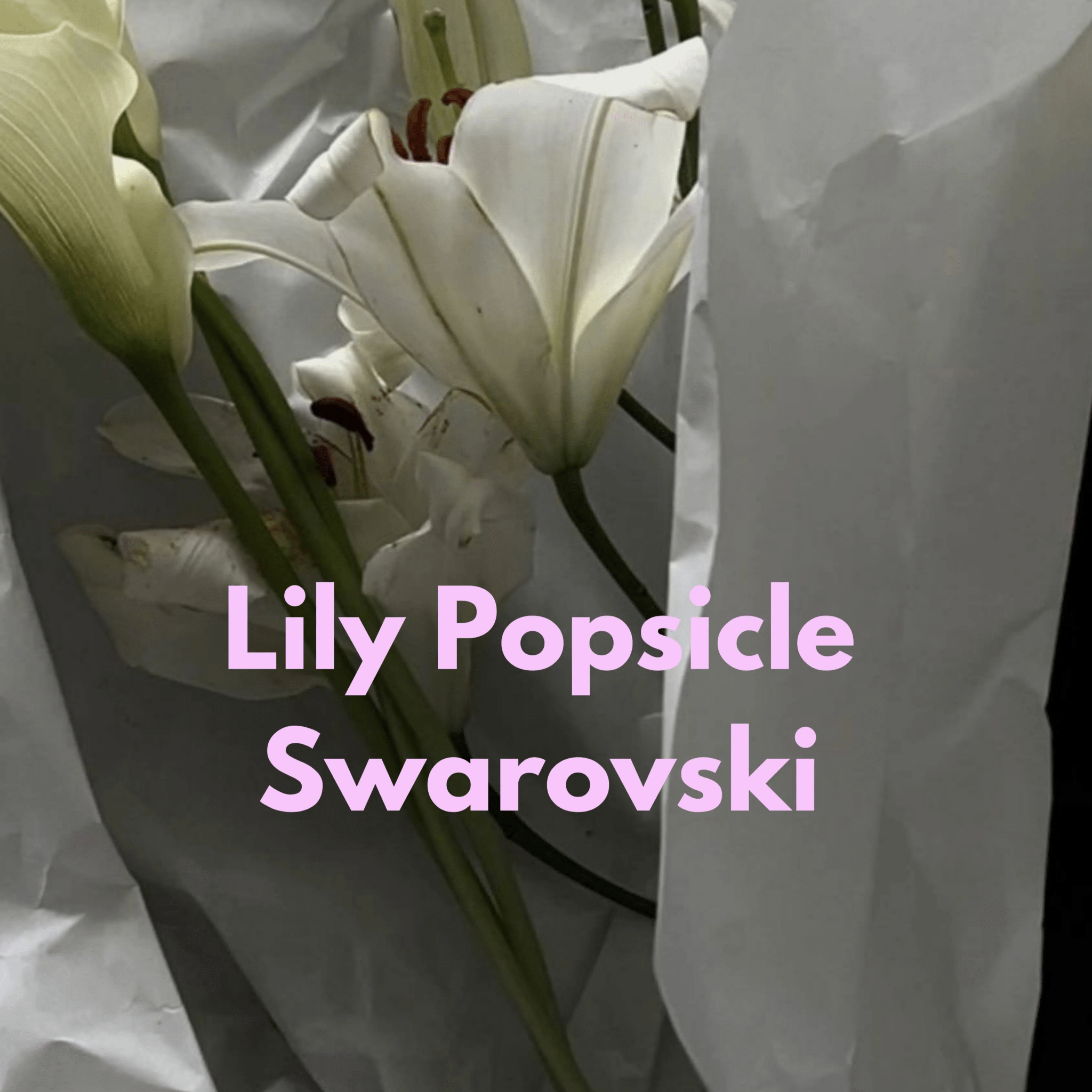 Lily Swarovski Glossy White Dog Harness 💎 - PAW LONDON