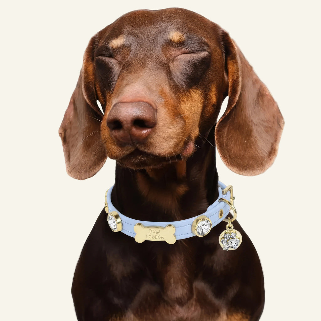 Louis Swarovski® Baby Blue Dog Collar 💎 - PAW LONDON