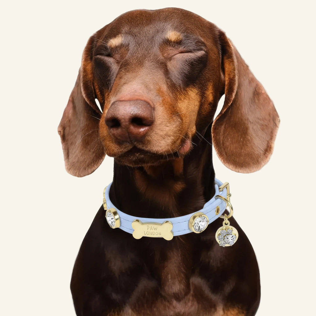 Louis Swarovski Baby Blue Dog Collar 💎 - PAW LONDON