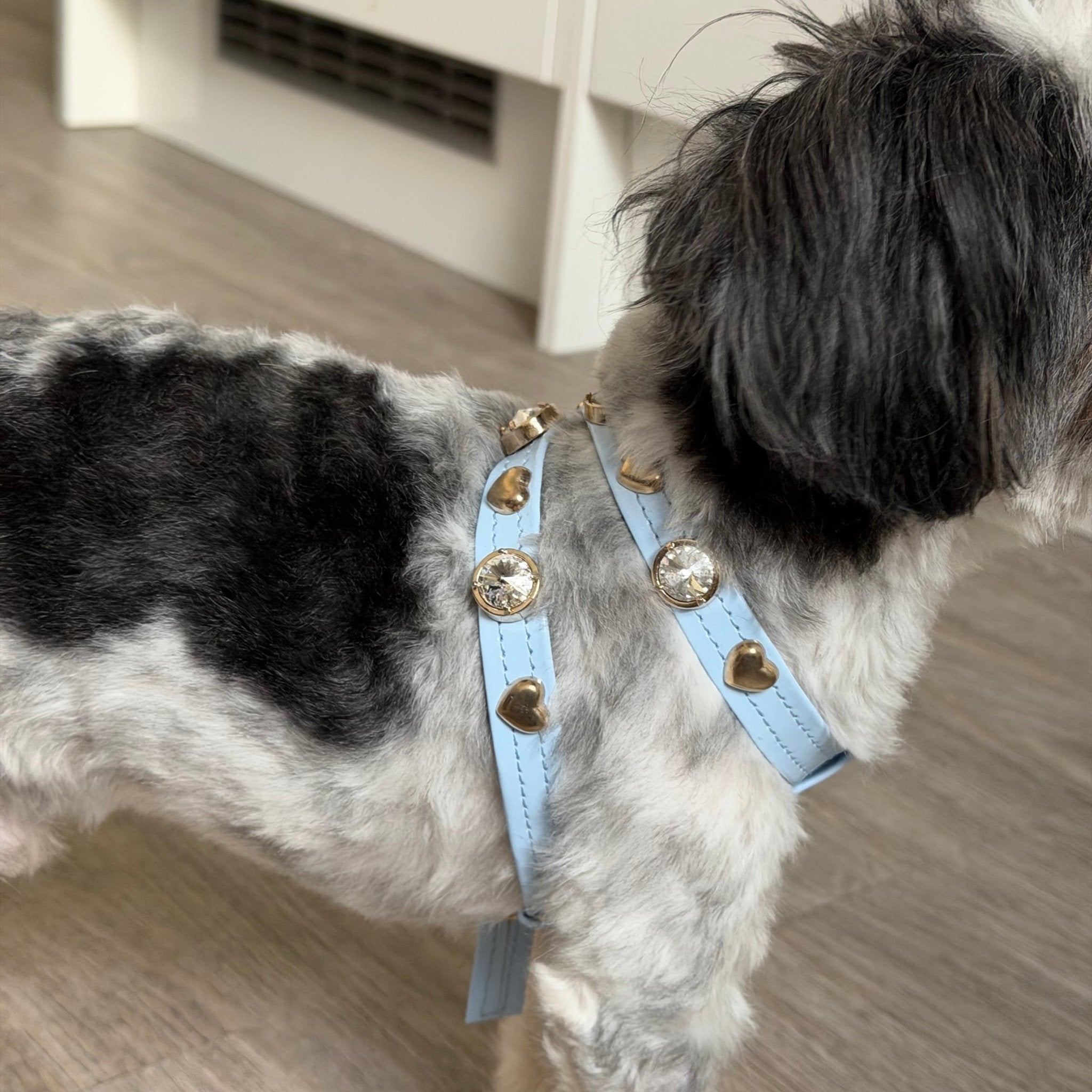 Louis Swarovski® Baby Blue Dog Harness 💎 - PAW LONDON