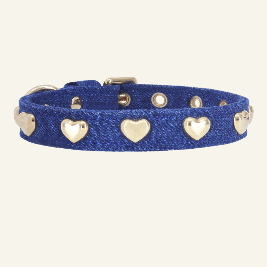 Lovefool Denim Dog Collar | Navy 💙 - PAW LONDON
