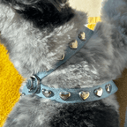 Lovefool Denim Dog Harness | Ice 🩵 - PAW LONDON