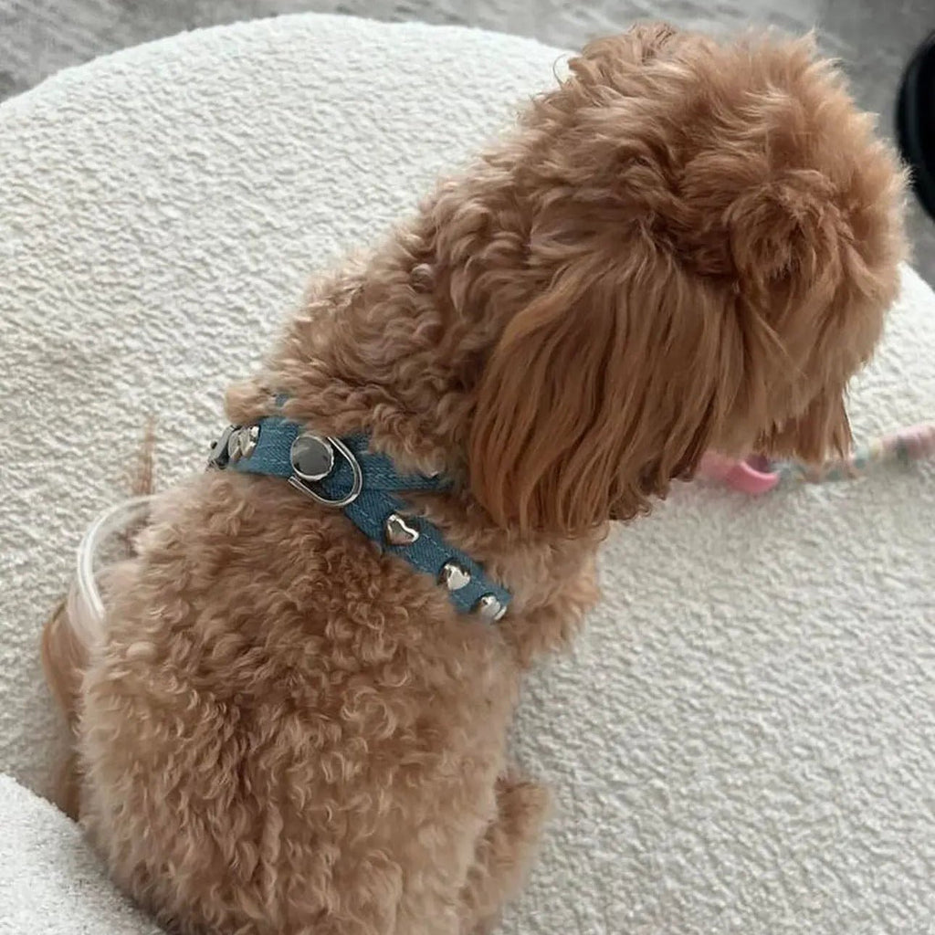 Lovefool Denim Dog Harness | Ice 🩵 - PAW LONDON