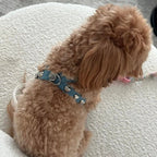 Lovefool Denim Dog Harness | Ice 🩵 - PAW LONDON