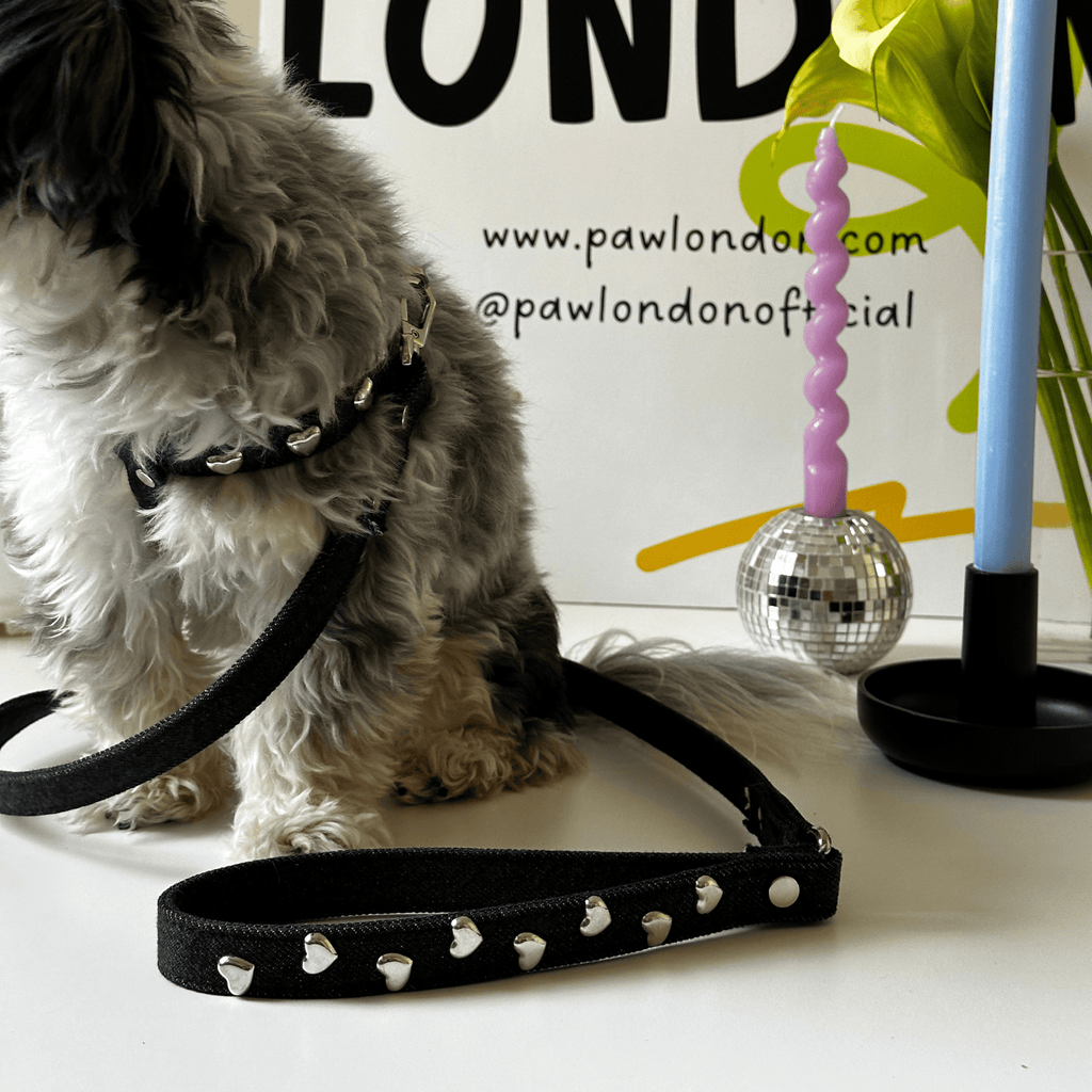Lovefool Denim Dog Harness | Noir 🖤 - PAW LONDON