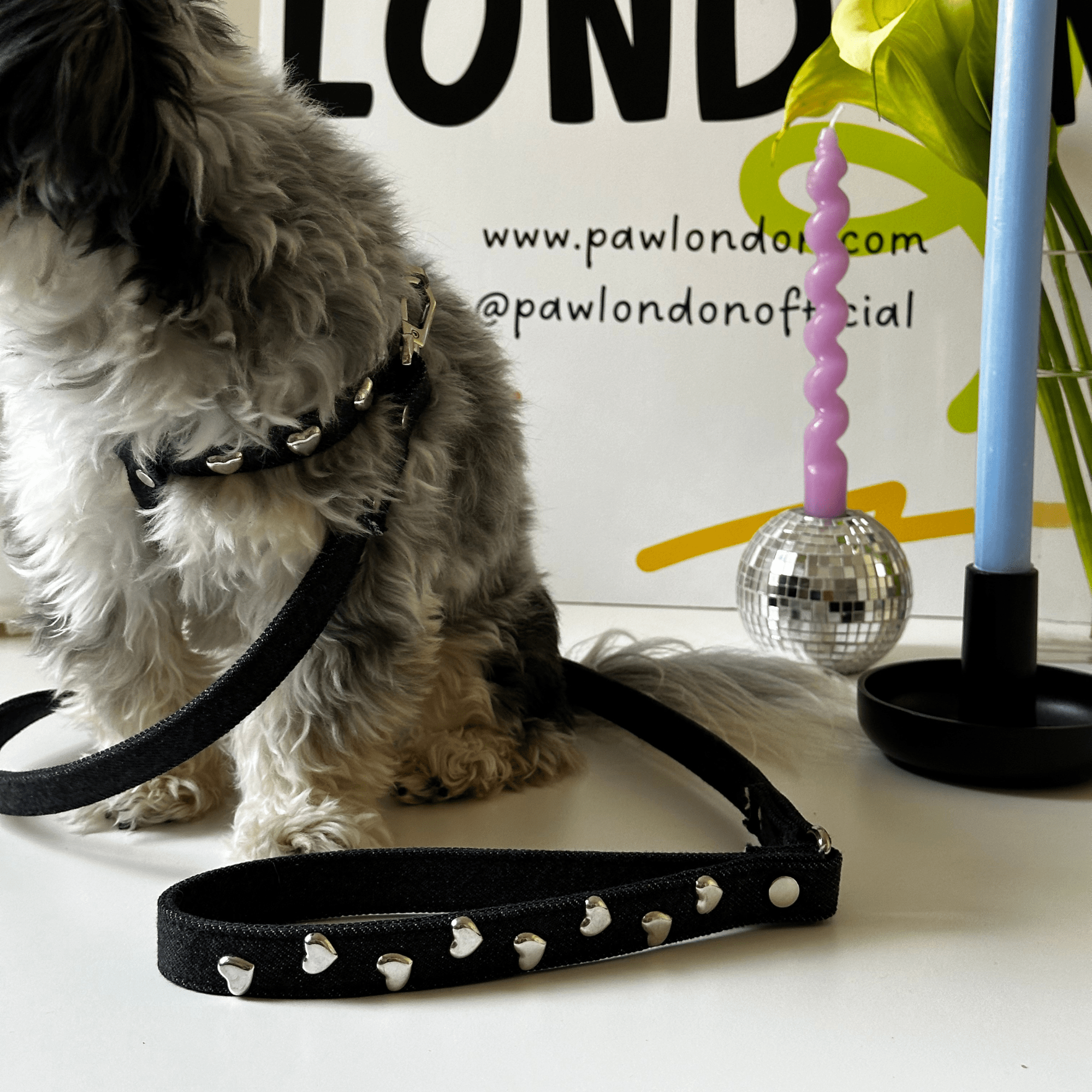 Lovefool Denim Dog Harness | Noir 🖤 - PAW LONDON