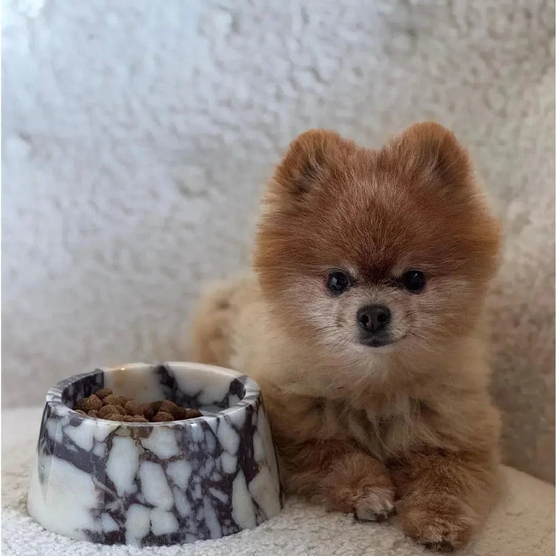 Marbowl Dog Food Bowl | Violet 🥡 - PAW LONDON