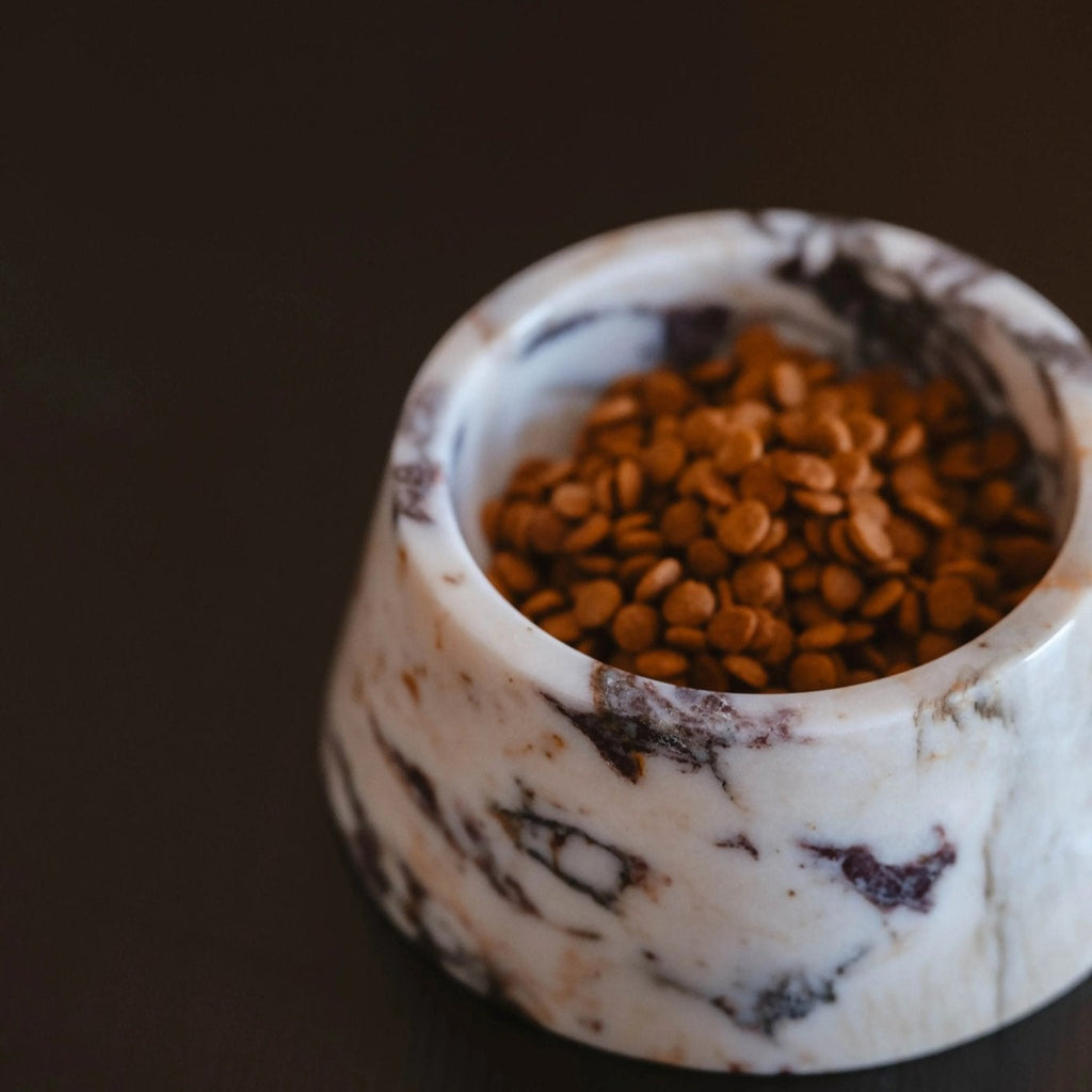Marbowl Dog Food Bowl | Violet 🥡 - PAW LONDON